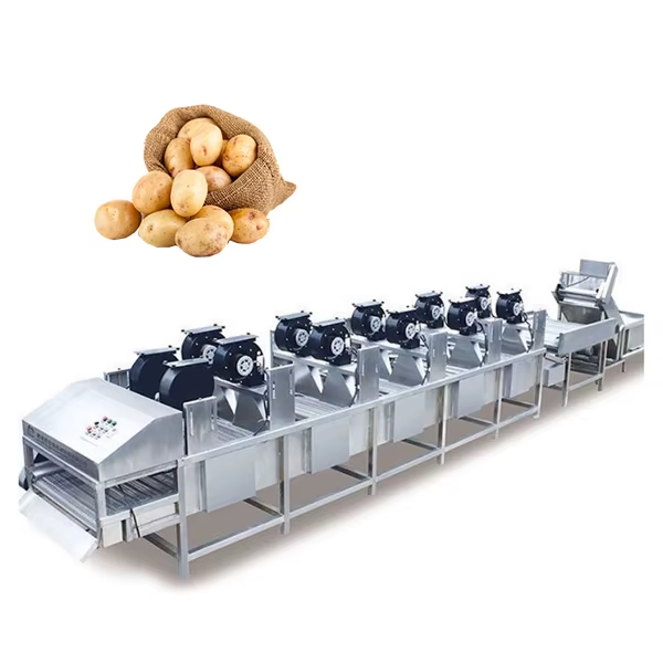 Best Sale Industrial Food Vegetable Fruits Dehydrator Bubble Washing and air Drying Dryer Full Setup Machine